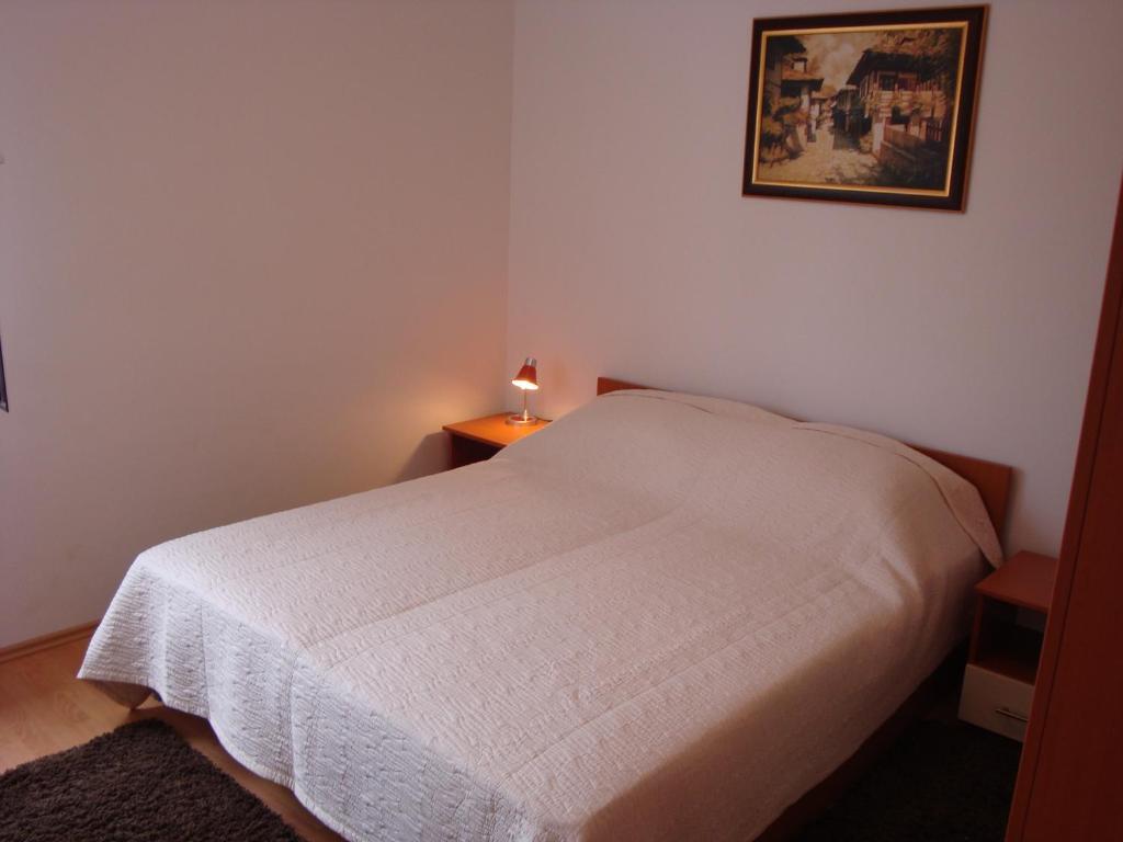 Apartments Dadic ツァヴタット 部屋 写真